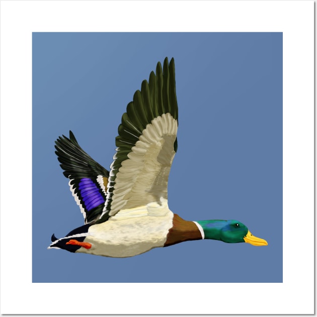 Mallard ducks Wall Art by rlnielsen4